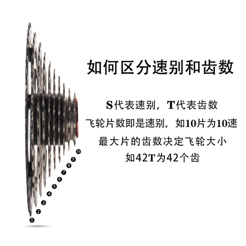 BOLANY source mountain bike flywheel cassette 8/9/10/11/12 speed gear road bicycle flywheel