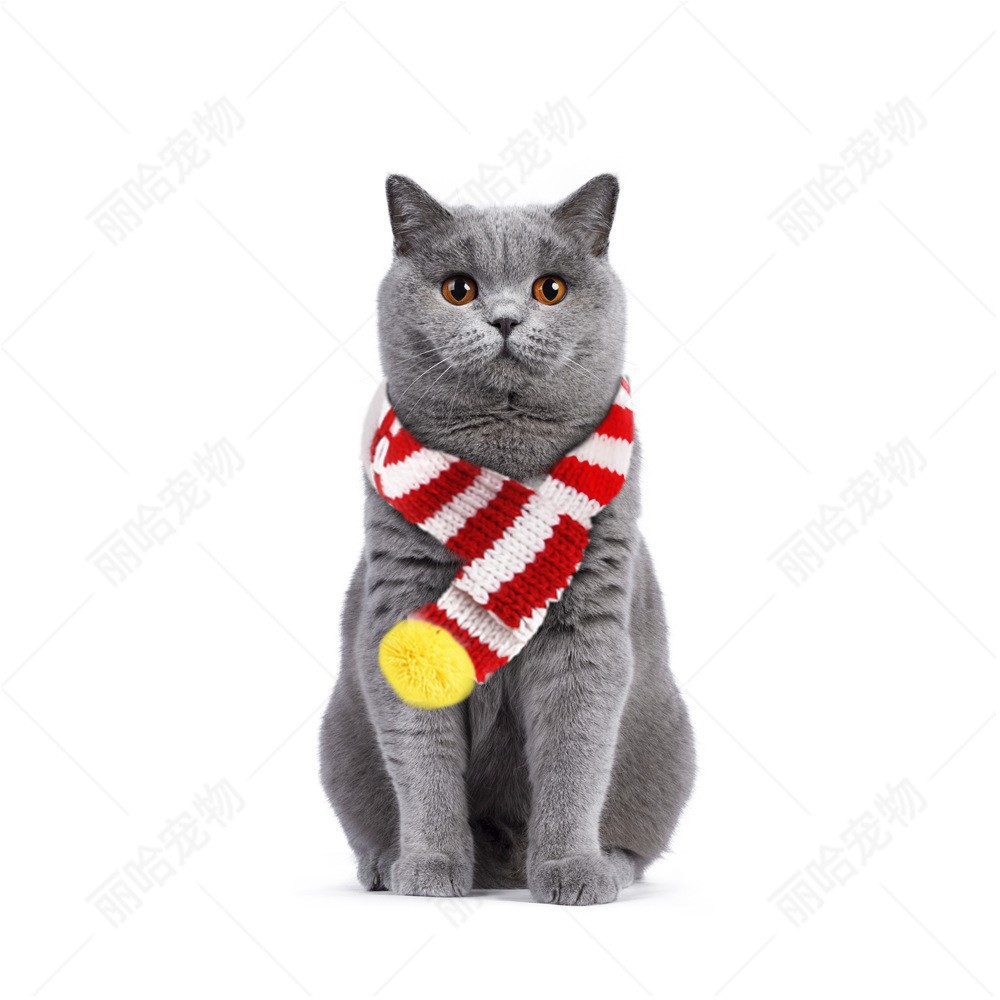 Halloween Ghost Festival disfrazado de mascota diablillos cuernos ornamentales tiara diadema accesorios para mascotas joyería diadema