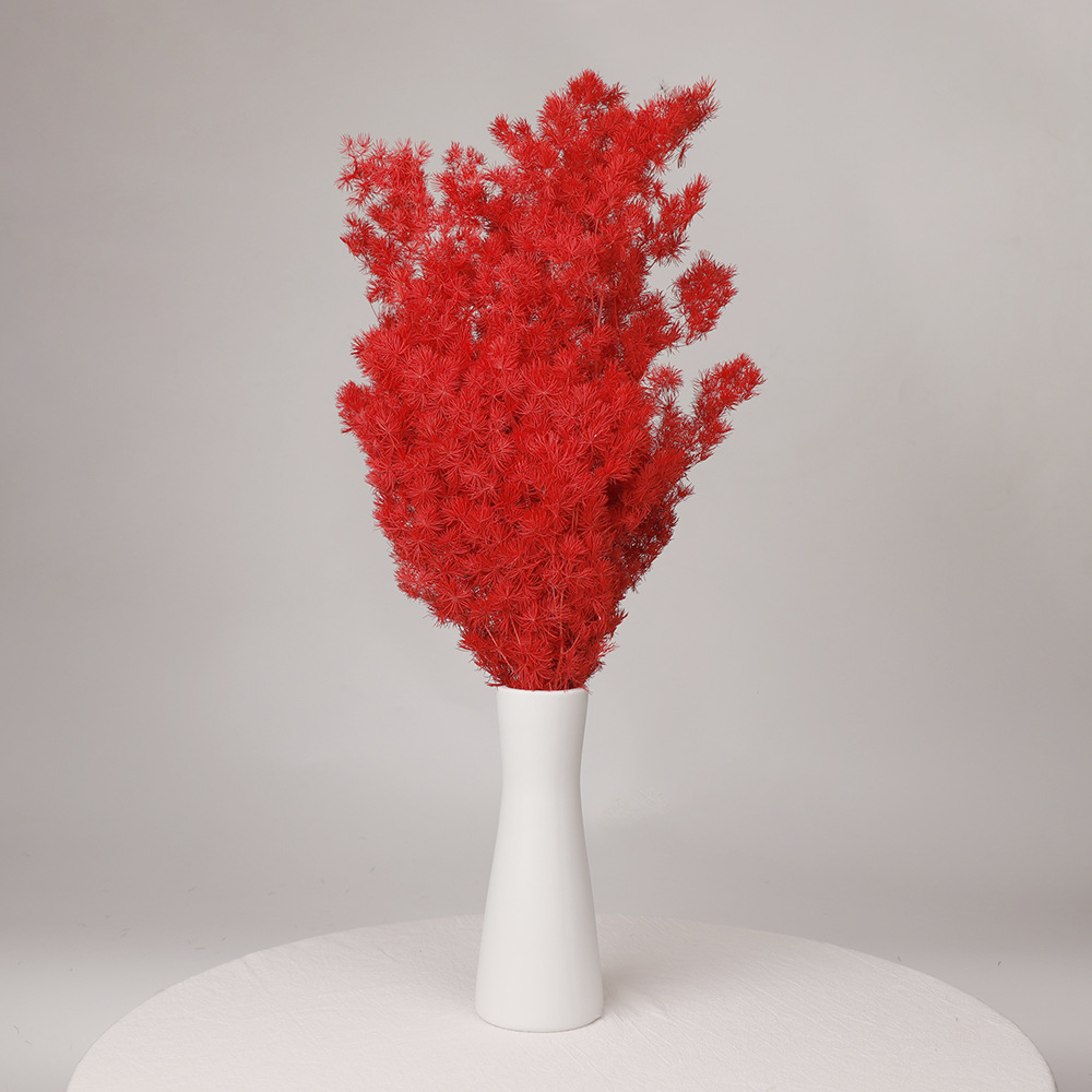 Pino Penglai flor eterna Navidad Pino preservado flor seca ramo Yunnan flor decoración del hogar Accesorios de tiro