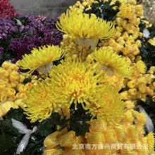�羳�f�۾��������滨�ջ������ω�����צ�ռٻ�зצ�ՏS��ֱ�N