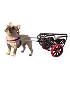 �m10~16��Ȯ ̩�� �͸���@Ȯ ��Ȯ �F�e ����ѩ�{��С��Ȯ����܇