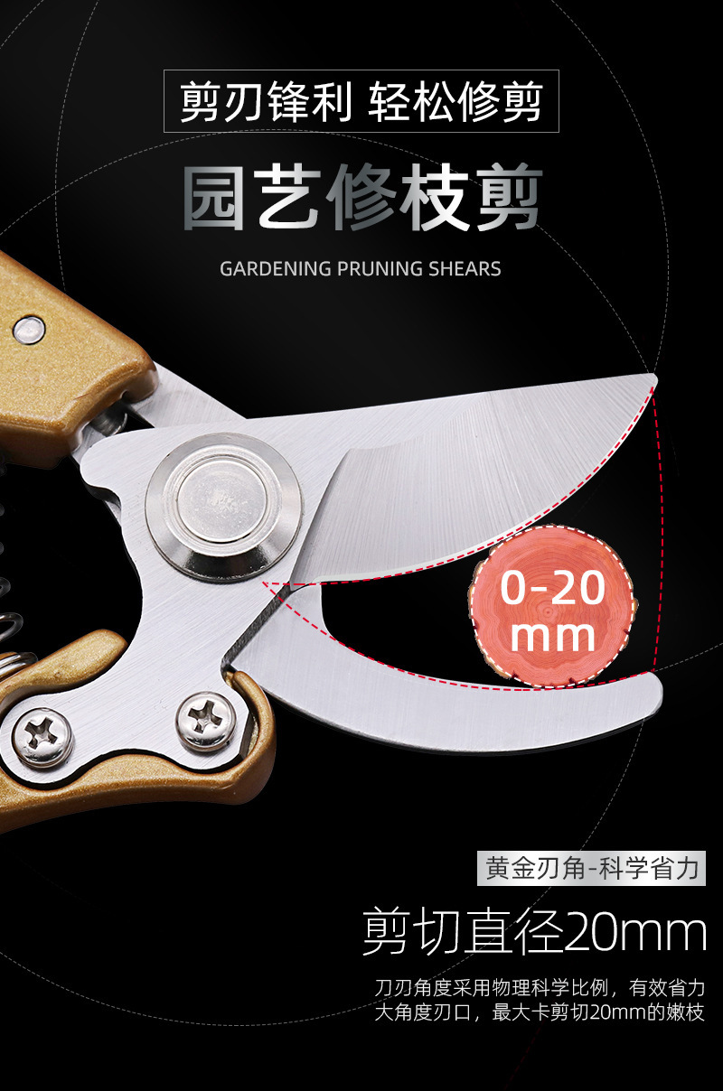 O1CN01QpfSMx1zhiVSCcyRh_!!2206