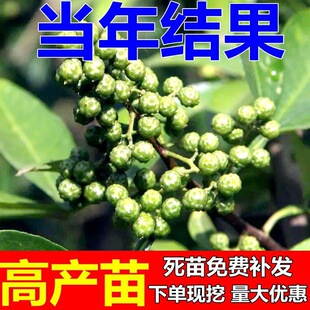 �����������Ĵ��hԴ�ٽ��໨���t�o�̾G�����齷����