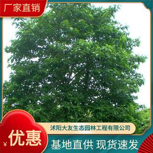 ����ֱ�N  ϲ����  �������N�G��ֲ�� �нӾG���Nֲ����
