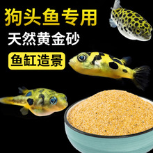 ȻSɳ^~~΢^bɰ쾰ɳˮԭ