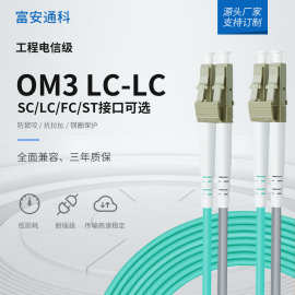 OM3万兆铠装光纤跳线LC-LC多模3M5/10/20/50米网吧尾纤钢丝双芯
