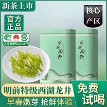 5新茶西湖茶叶正宗雨前龙井茶5g罐装绿茶春茶官方明前炒青