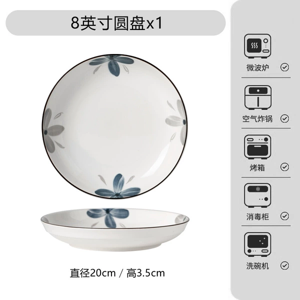 8 -inch disc