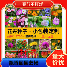 һ�����l���÷N��С���b�M�ϴ��l�ļ�ͨ���׷N��ͥ�@ˇ���N�ӏS��