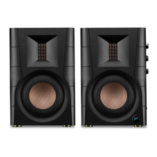 Hivi/Hivi D100 wireless Bluetooth active speaker Computer TV living room home 2.0 Multimedia