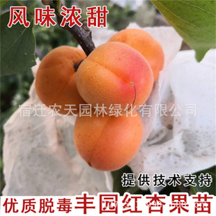 ��Ʒ�N�SԴ�t��֬�t�Ә����޽�ˮ�������Ә����̨�ļ����ԷNֲ