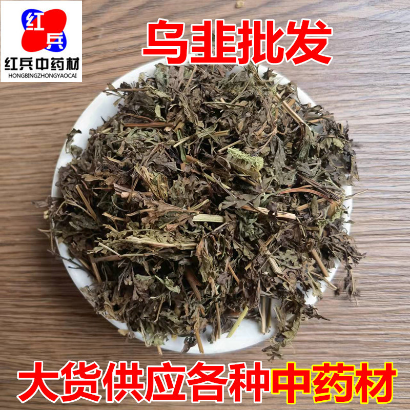 Wu Jiu Dried Herb Sazenia japonica Whole Plant Traditional Chinese Herbal Tea Material overview