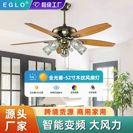 风扇灯;吊扇;灯控制器