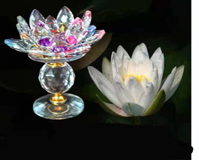 微信图片_20211228234719