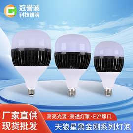 批发led灯泡e27天狼星黑金刚系列球泡灯室内家用工厂车间中山照明