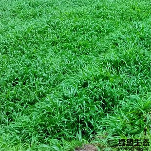 ���~ȸ�޷N�Ӈ��a��ϲ�ݷN�ь��~���o�¾G���ݷN����ţ���~������