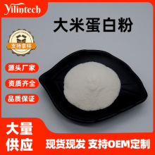 大米蛋白粉80% 大米水解蛋白 水解植物蛋白粉 厂家直发 量大从优