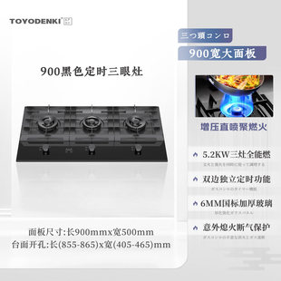 TOYODENIKI�ձ��|�����޹�˾������߶����^���ͻ�ȼ������Ȼ��
