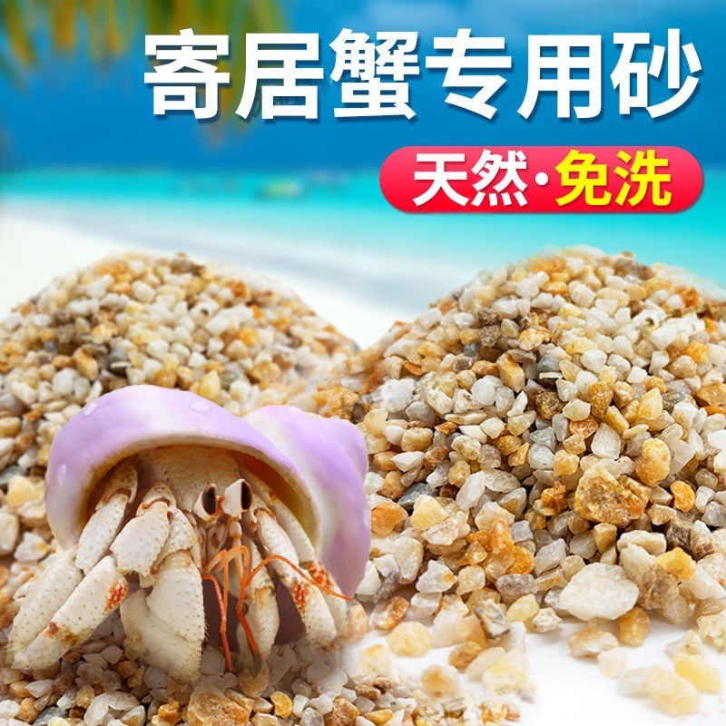 海砂寄居蟹専用砂水草カニ底砂石亀敷底純天然流砂水槽底砂|undefined