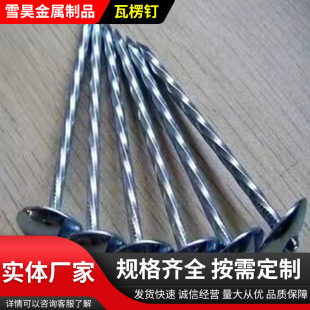 批发螺纹带帽麻杆瓦楞钉 抛光搓丝伞钉 建筑组合铁钉伞钉厂家供应-阿里巴巴
