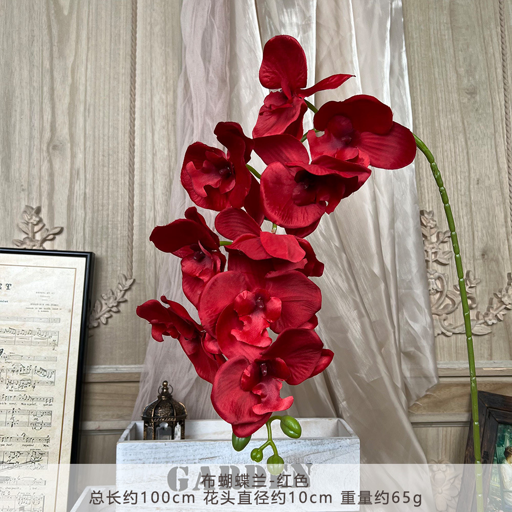 XD-cloth phalaenopsis-Red