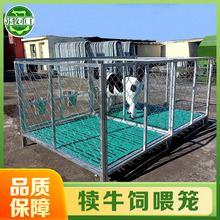 苏牧养殖设备牛场用热镀锌小牛独立饲喂犊牛笼1500型镀锌防腐