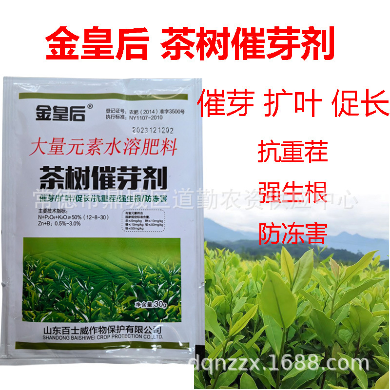 茶树催芽剂叶面肥茶叶催长剂茶叶催芽嫩芽剂芽增产提质茶树专用