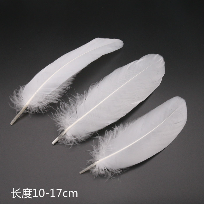 Plumas Decorativas Artesanales para Bodas y Manualidades DIY