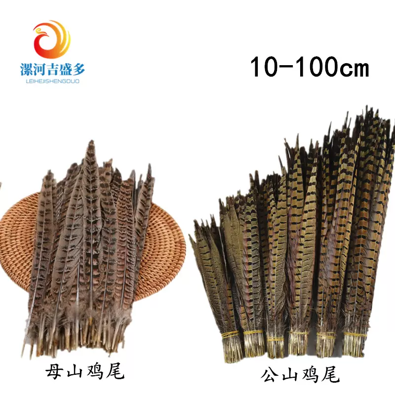 工厂批发野鸡毛10-100cm母公山鸡尾diy头饰配件 天然山鸡羽毛