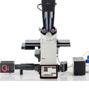 Leica   徕卡  DMi8  倒置显微镜