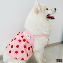 金毛衣服宠物狗狗裙子中大型犬透气防夏天网纱萨摩大码公主风薄款