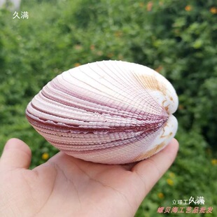 ؐ�������p�����B����ɫ����ؐ�{�Bؐ�~��ˮ���쾰�b[����