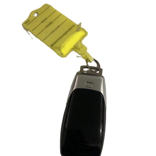 Reusable Marking Labels, Cable Ties, Item Classification, Colorfulful Signs, Waterproof Tags, Hanging Tags, Car Key Tags