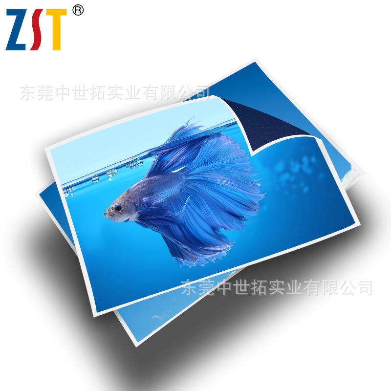 23 Years of Experience Photo Paper Factory Zhongshitu Professional Waterproof Photo Paper 220g 280g Inkjet Printing Photo Paper