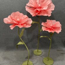 �¿���������z�W��ĭ��Y�ֹ����ü����b���̨������Ʒ�[����c