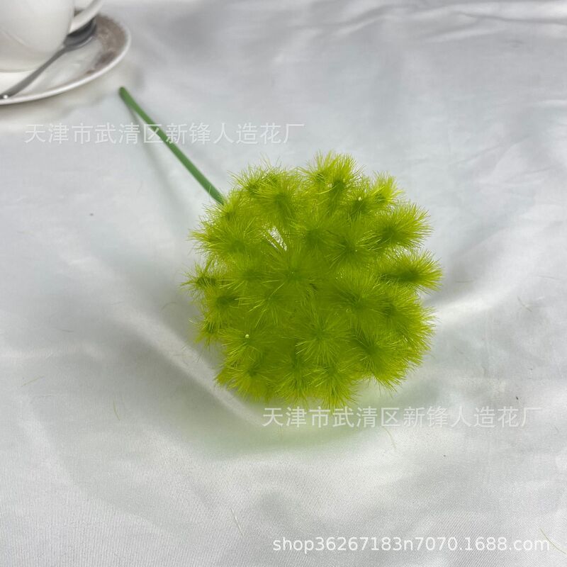 タンポポは玉ねぎの花球の造花撮影だけを模倣しています。|undefined