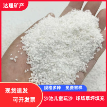 跨境供应白沙真石漆用白沙儿童娱乐雪花白砂园艺酒店造景鱼缸底砂