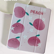 mipad10.2oPro3/4Pܛair5ƤOmini6ƽ嚤