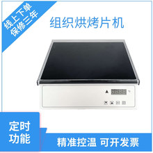 组织烘片机、烤片机、烘烤片机、带定时功能实验室设备恒温