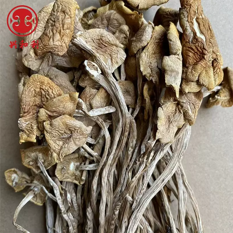 古田开伞茶树菇茶 薪菇干货散装干货500g古田食用菌农家 厂家直供