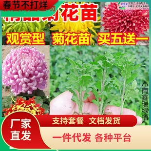 һ�����l�ջ����ļ��_��ʳ�ô�ջ����Ծ��º��m���҃����̨ͥԺ