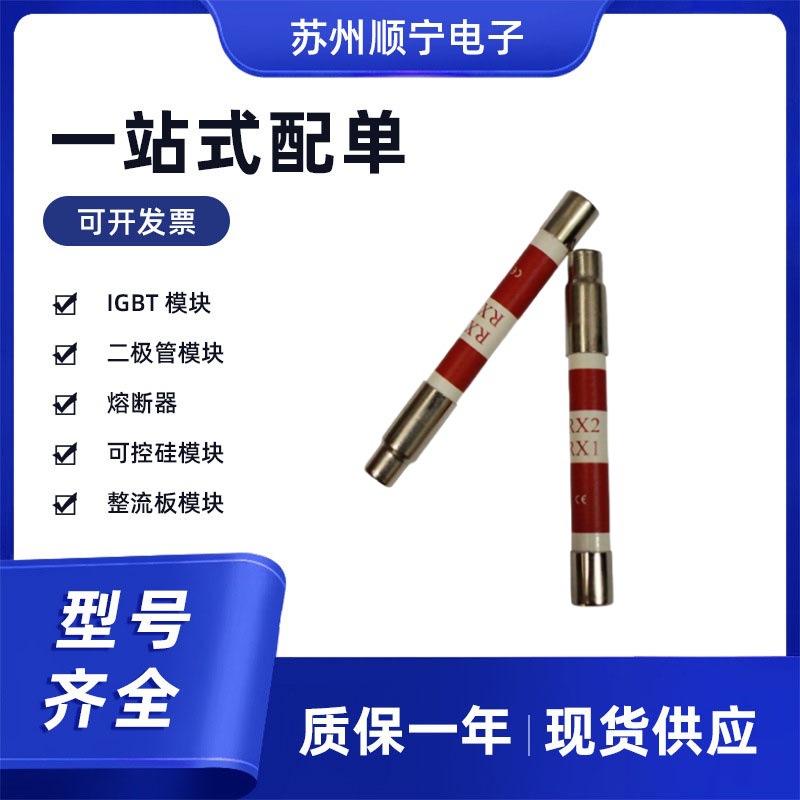 RG1-aM  500V 20A25A32A 熔断器保险丝 全新原装型号齐全现货