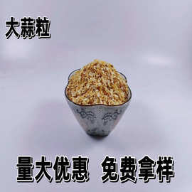 批发大蒜粒 脱水蒜粒4080干蒜粒蔬菜调味配料1640蒜粒不同规格