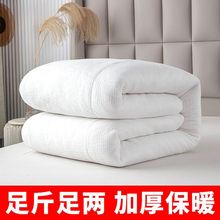 棉被棉絮床垫被棉胎单双人棉被子被芯大学生被褥子春秋冬被加厚厂