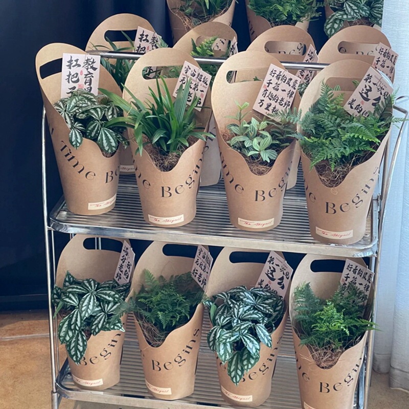 教师节圆形鲜花手提盒绿植蝴蝶兰礼盒插花牛皮盒diy花束包装盒|undefined