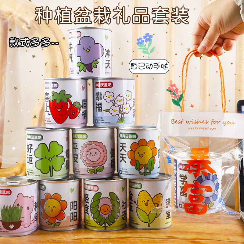 Fun Easy-To-Grow Plant Seeds in Cans, Mini Vegetable and Fruit Gift Sets, Children's Day Souvenirs Wholesale Fun Easy-To-Grow Plant Seeds in Cans, Mini Vegetable and Fruit Gift Sets, Children's Day Souvenirs Wholesale