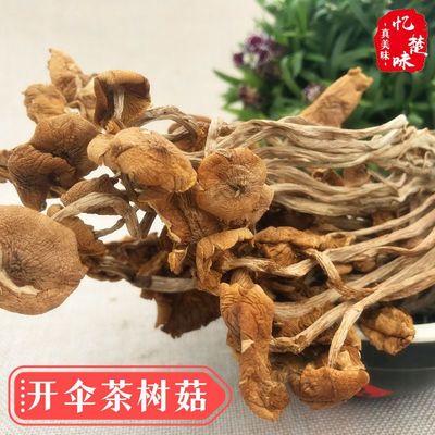 農家茶樹菇茶樹菇 茶樹菇半開傘茶薪菇幹貨250g50g