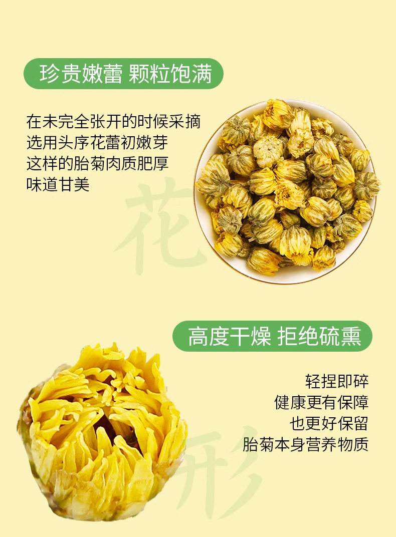 Premium Fetal Chrysanthemum Buds Tongxiang Hangzhou White Chrysanthemum Tea Canned 65g key features