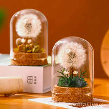 �羳�������ѹ�Ӣ�����֔[���ɻ�ĸ�H���̎����Y��������Ϧ��Ů��