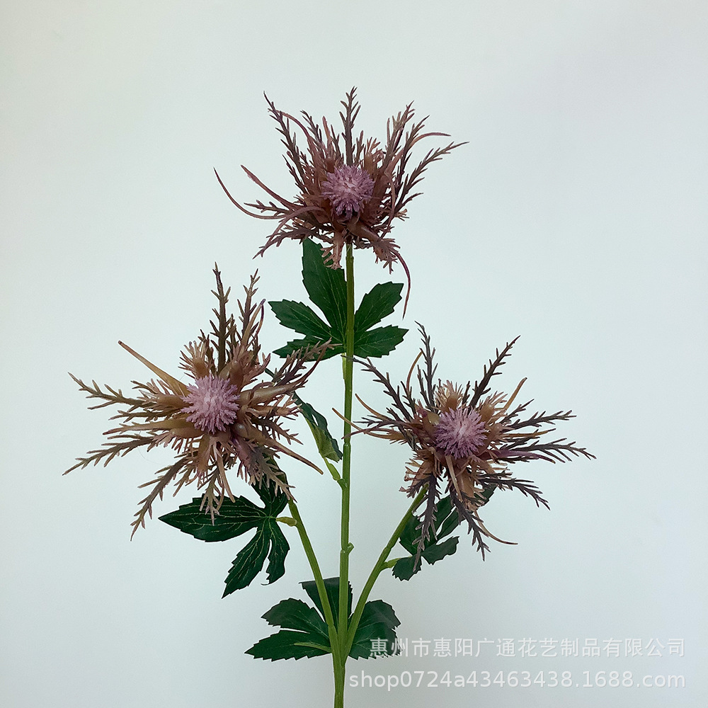 커피색